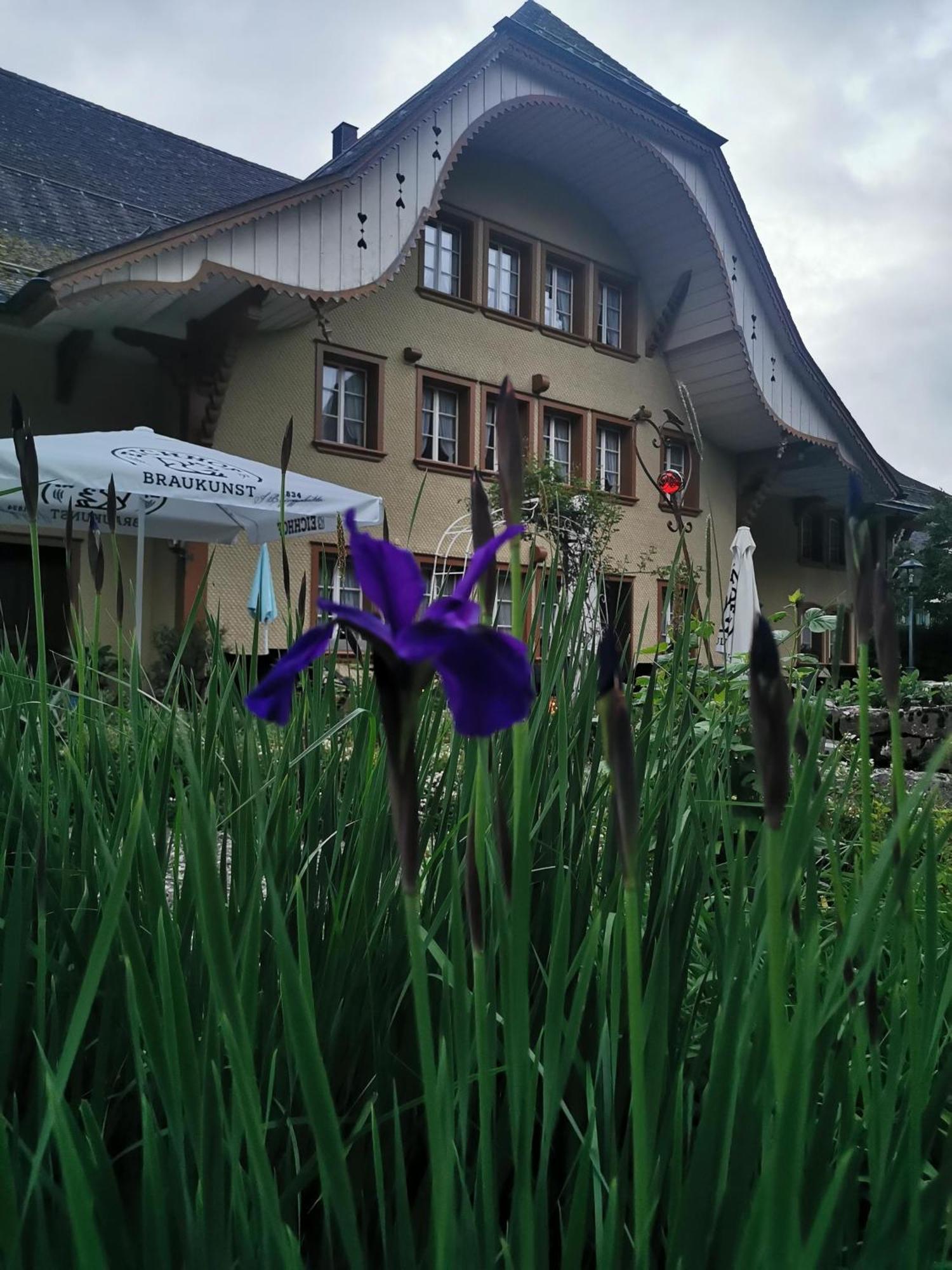 Gasthof Kreuz Marbach Kültér fotó