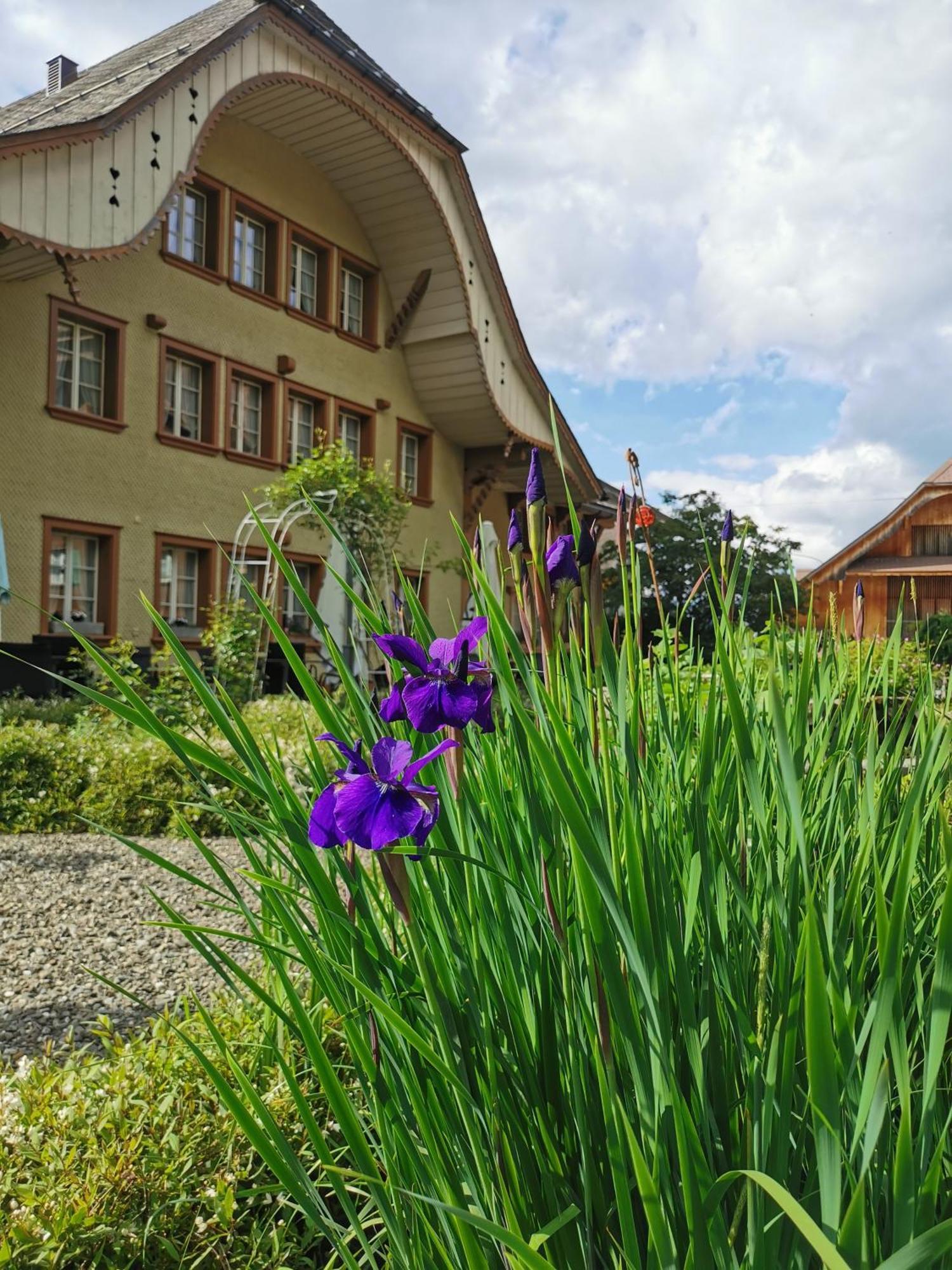 Gasthof Kreuz Marbach Kültér fotó