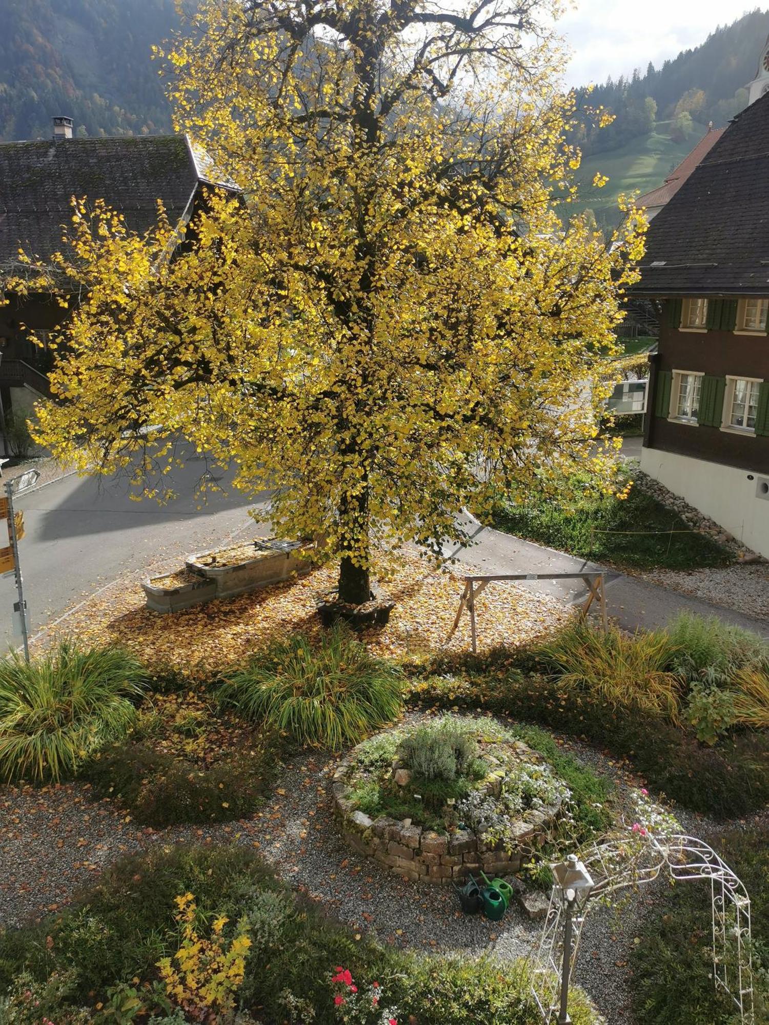 Gasthof Kreuz Marbach Kültér fotó