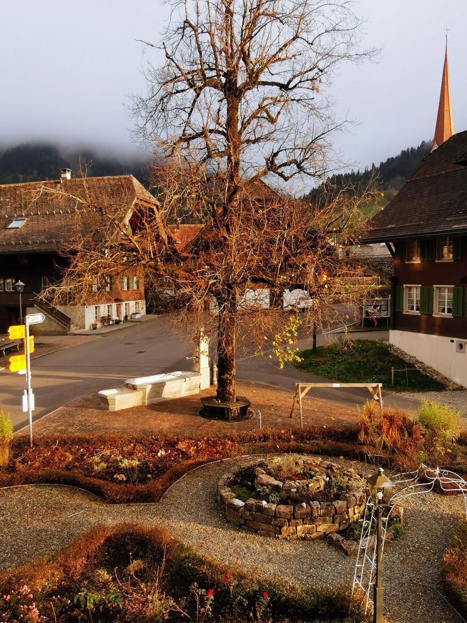 Gasthof Kreuz Marbach Kültér fotó